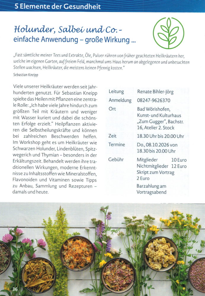 Beschreibung Workshop "Holunder, Salbei und Co."